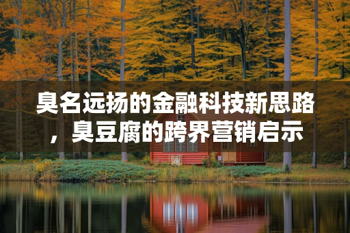 臭名远扬的金融科技新思路，臭豆腐的跨界营销启示