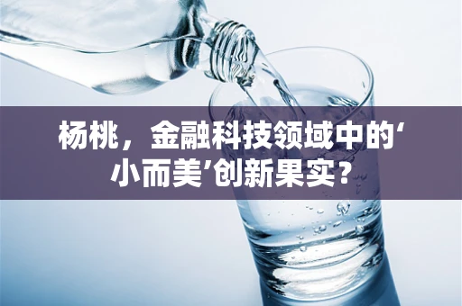 杨桃，金融科技领域中的‘小而美’创新果实？