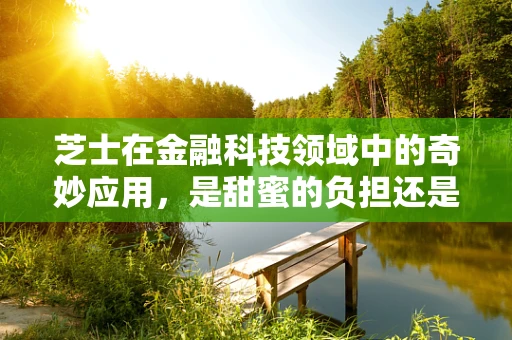 芝士在金融科技领域中的奇妙应用，是甜蜜的负担还是创新的催化剂？