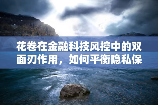 花卷在金融科技风控中的双面刃作用，如何平衡隐私保护与风险识别？