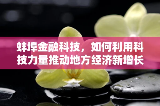 蚌埠金融科技，如何利用科技力量推动地方经济新增长？