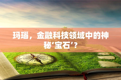 玛瑙，金融科技领域中的神秘‘宝石’？