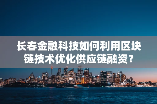 长春金融科技如何利用区块链技术优化供应链融资？