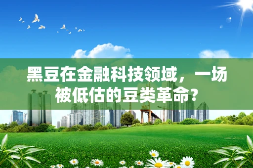 黑豆在金融科技领域，一场被低估的豆类革命？