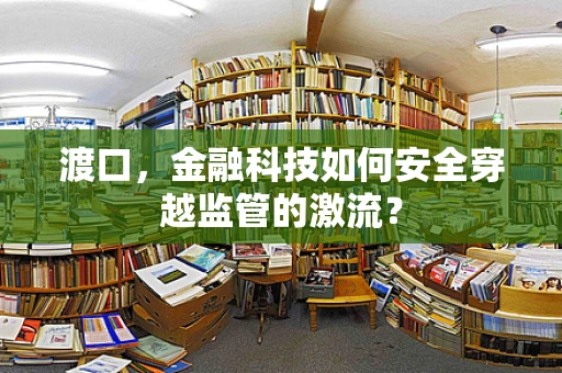 渡口，金融科技如何安全穿越监管的激流？