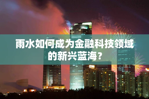 雨水如何成为金融科技领域的新兴蓝海？