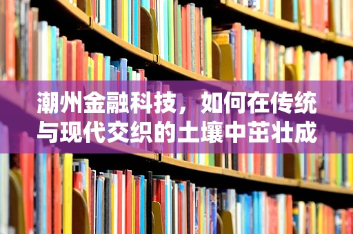 潮州金融科技，如何在传统与现代交织的土壤中茁壮成长？
