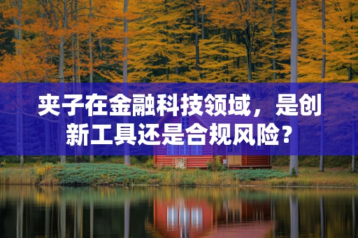 夹子在金融科技领域，是创新工具还是合规风险？