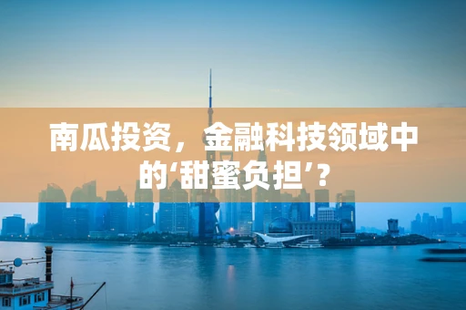 南瓜投资，金融科技领域中的‘甜蜜负担’？