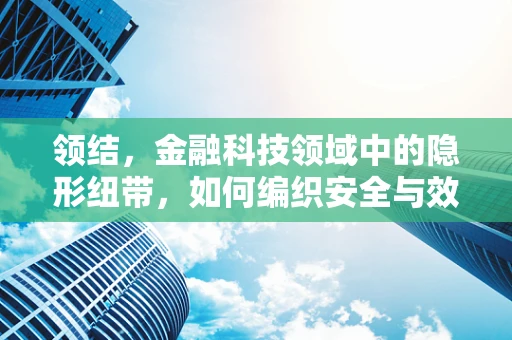 领结，金融科技领域中的隐形纽带，如何编织安全与效率的平衡？