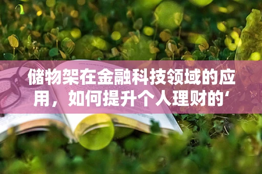 储物架在金融科技领域的应用，如何提升个人理财的‘收纳’效率？