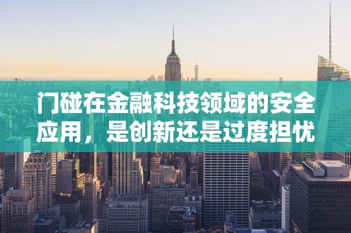 门碰在金融科技领域的安全应用，是创新还是过度担忧？