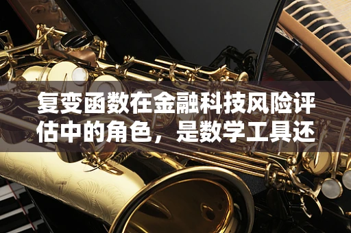 复变函数在金融科技风险评估中的角色，是数学工具还是魔法钥匙？