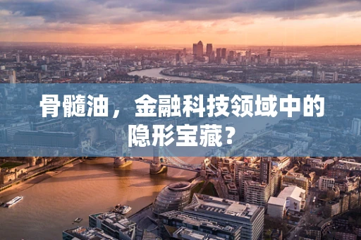 骨髓油，金融科技领域中的隐形宝藏？