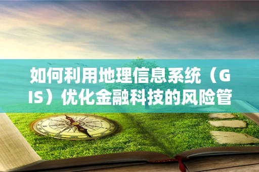 如何利用地理信息系统（GIS）优化金融科技的风险管理？