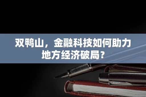 双鸭山，金融科技如何助力地方经济破局？