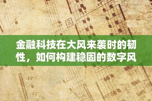 金融科技在大风来袭时的韧性，如何构建稳固的数字风控体系？