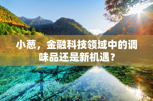 小葱，金融科技领域中的调味品还是新机遇？