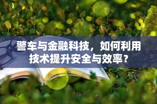 警车与金融科技，如何利用技术提升安全与效率？