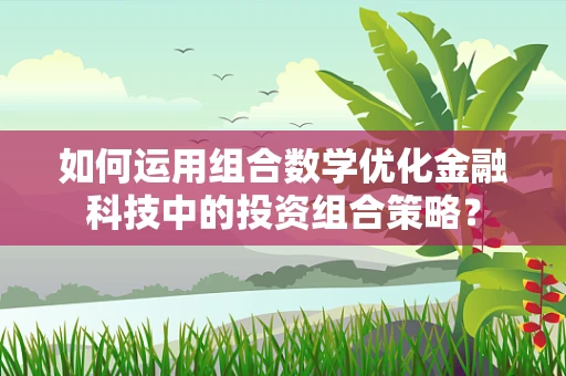 如何运用组合数学优化金融科技中的投资组合策略？