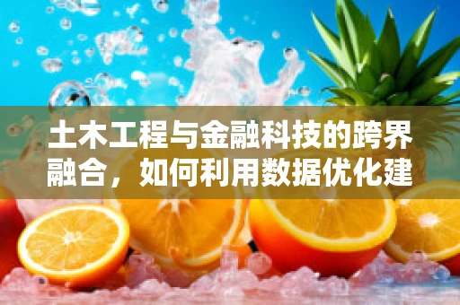 土木工程与金融科技的跨界融合，如何利用数据优化建筑项目？
