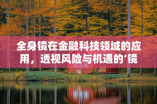 全身镜在金融科技领域的应用，透视风险与机遇的‘镜像’