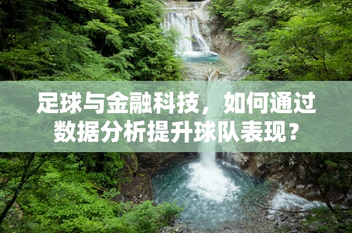 足球与金融科技，如何通过数据分析提升球队表现？
