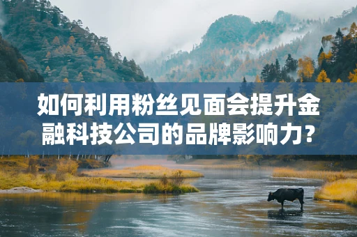 如何利用粉丝见面会提升金融科技公司的品牌影响力？