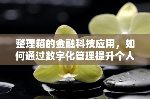 整理箱的金融科技应用，如何通过数字化管理提升个人及企业资产管理效率？