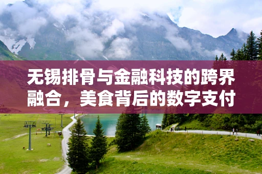 无锡排骨与金融科技的跨界融合，美食背后的数字支付新趋势？