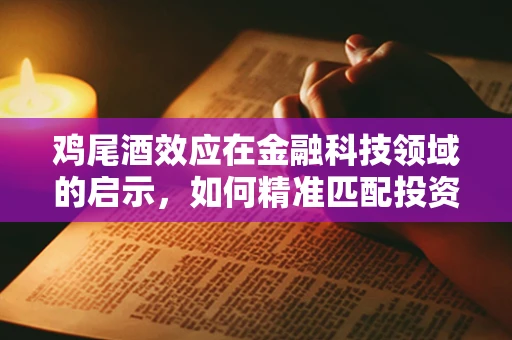 鸡尾酒效应在金融科技领域的启示，如何精准匹配投资与风险？