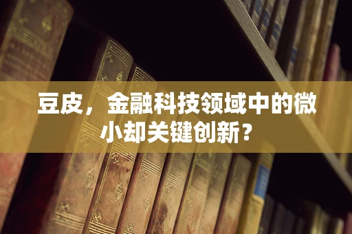 豆皮，金融科技领域中的微小却关键创新？