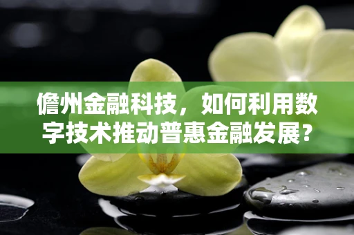 儋州金融科技，如何利用数字技术推动普惠金融发展？