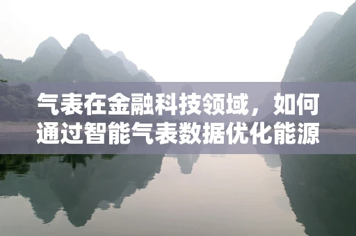 气表在金融科技领域，如何通过智能气表数据优化能源管理？