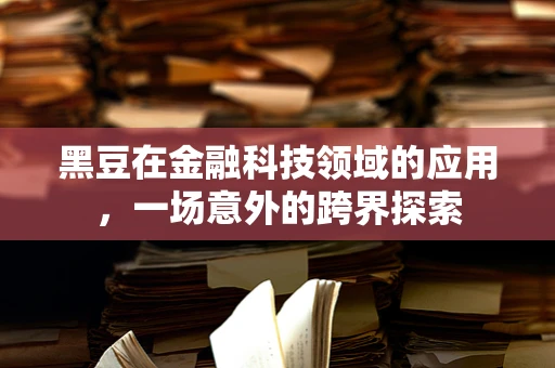 黑豆在金融科技领域的应用，一场意外的跨界探索