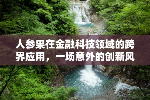 人参果在金融科技领域的跨界应用，一场意外的创新风暴？