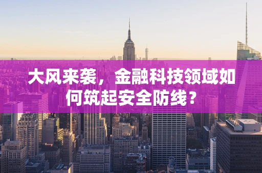 大风来袭，金融科技领域如何筑起安全防线？