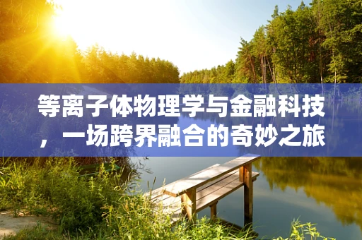 等离子体物理学与金融科技，一场跨界融合的奇妙之旅？