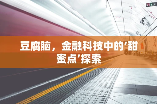 豆腐脑，金融科技中的‘甜蜜点’探索