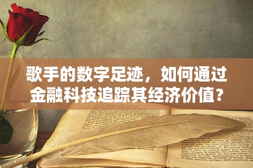 歌手的数字足迹，如何通过金融科技追踪其经济价值？