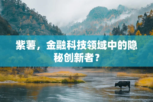 紫薯，金融科技领域中的隐秘创新者？