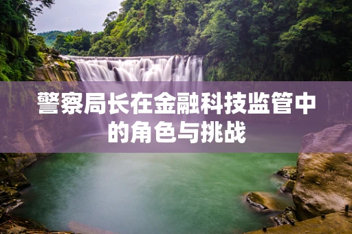 警察局长在金融科技监管中的角色与挑战