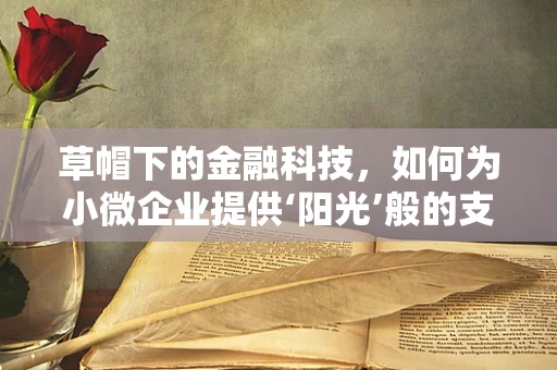 草帽下的金融科技，如何为小微企业提供‘阳光’般的支持？