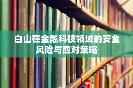 白山在金融科技领域的安全风险与应对策略