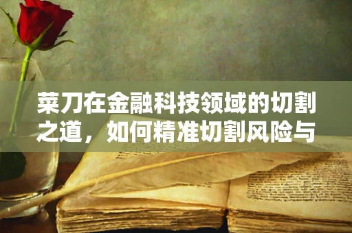 菜刀在金融科技领域的切割之道，如何精准切割风险与机遇？