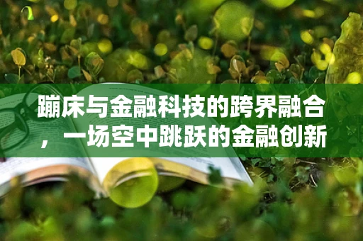 蹦床与金融科技的跨界融合，一场空中跳跃的金融创新？