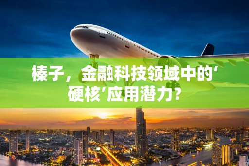榛子，金融科技领域中的‘硬核’应用潜力？