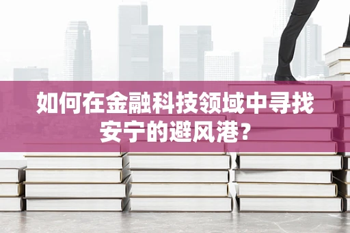 如何在金融科技领域中寻找安宁的避风港？