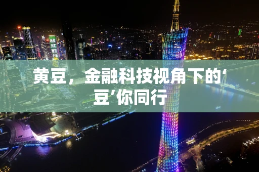 黄豆，金融科技视角下的‘豆’你同行