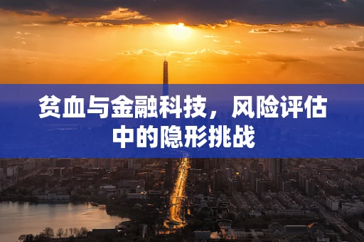 贫血与金融科技，风险评估中的隐形挑战